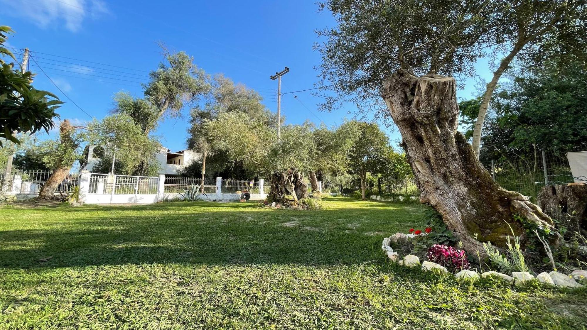 Kavos Aparthotel エクステリア 写真